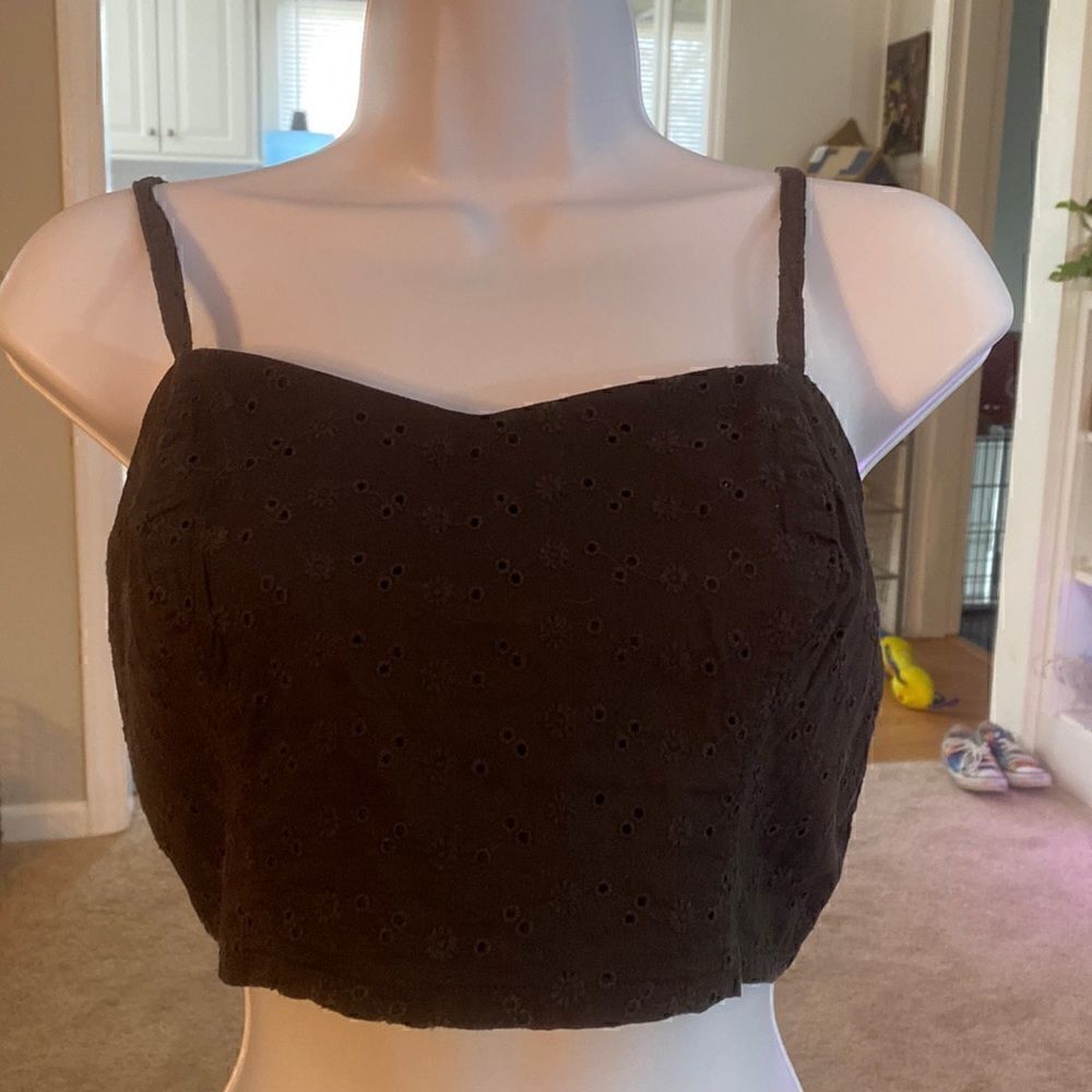 CROP TOP! Pins & Needles Brand. Flower pattern BNWT. Size M